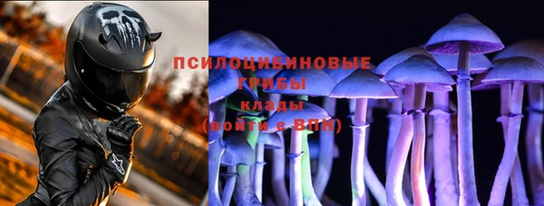 прущий лед Богородск