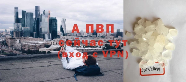 прущие крисы Богданович