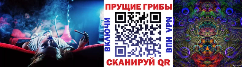 Псилоцибиновые грибы Cubensis  мега зеркало  Игра 